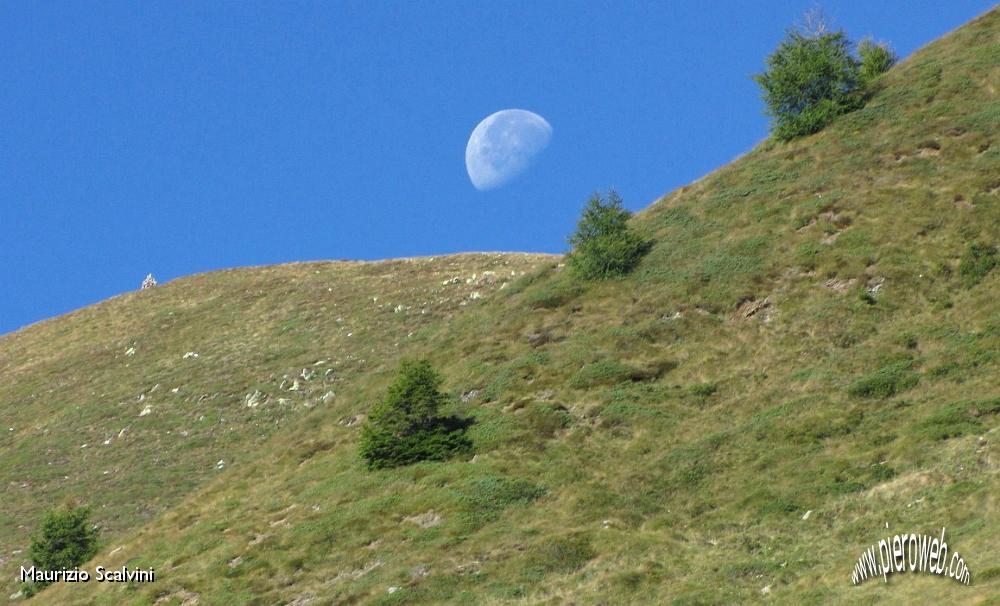 05 La luna dell'Avaro.JPG